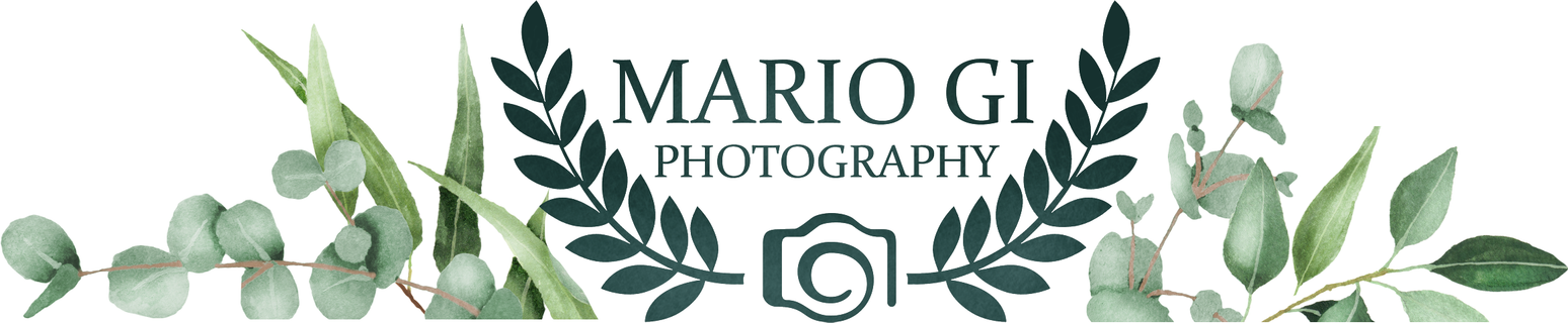 Mario Gi — Photographe de mariage